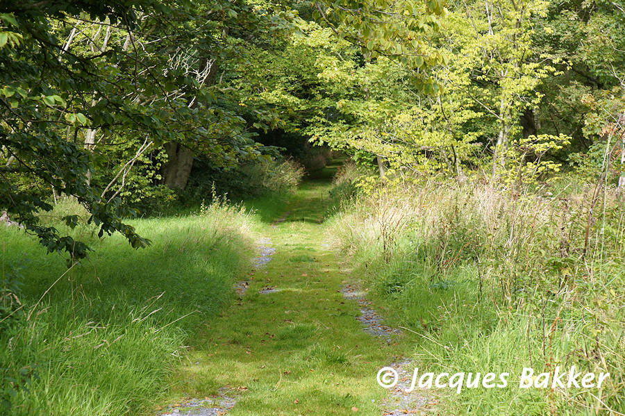 Road to Kirkmadrine Church